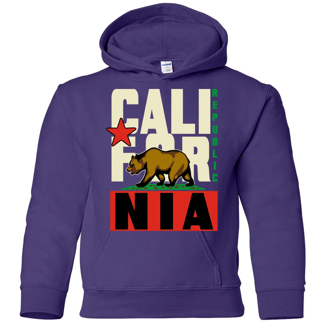 California Republic Original Retro Bold Youth Sweatshirt Hoodie